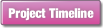 Project Timeline.
