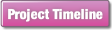 Project Timeline.